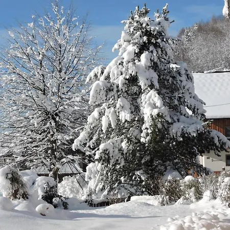 公寓 克伦姆瑟之家公寓 *