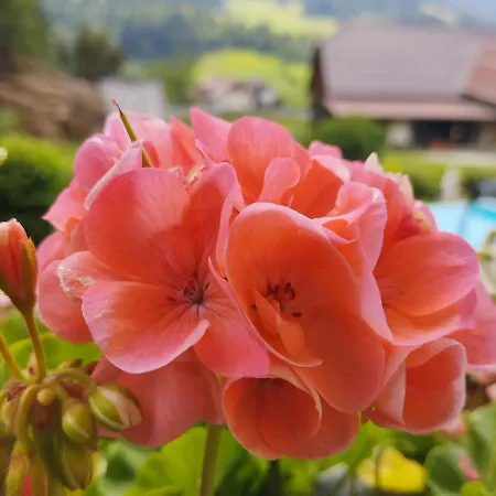 아파트 Haus Kremser 바트키르히하임