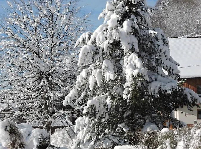 アパート Haus Kremser *